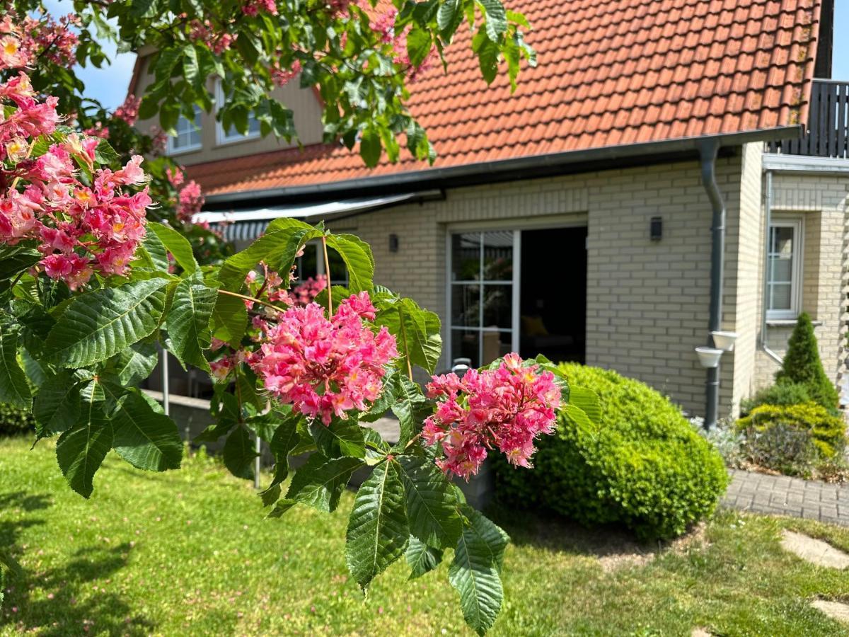 Familienurlaub Im Gruenen Apartamento Wernigerode Exterior foto