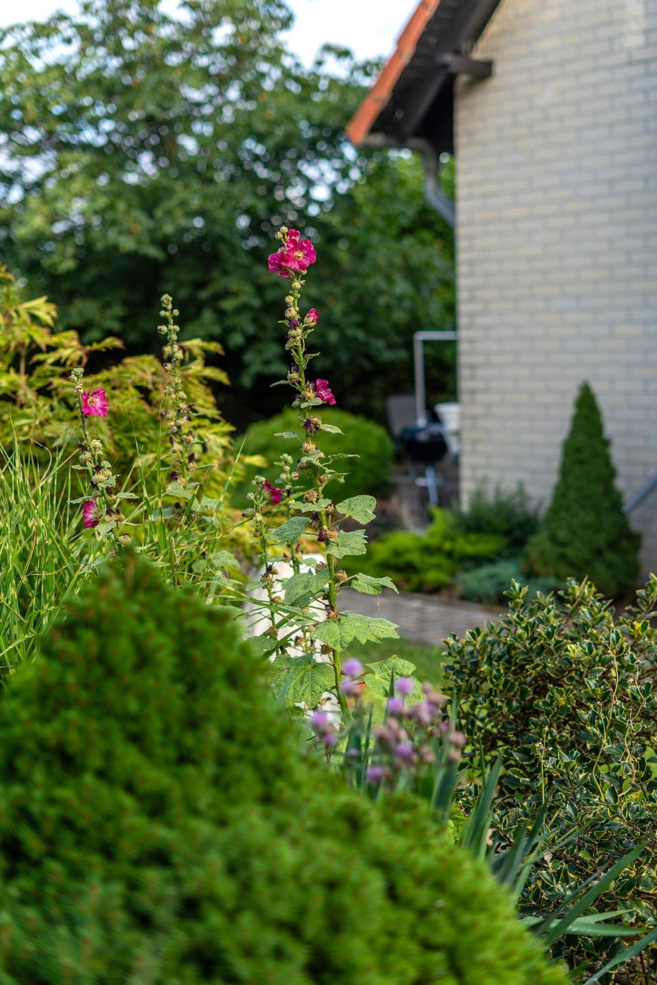 Familienurlaub Im Gruenen Apartamento Wernigerode Exterior foto